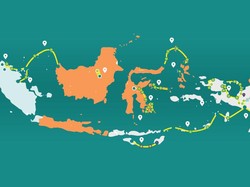 Palapa Ring, Tulang Punggung Penghubung Pelosok RI