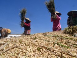 Harga Beras Mahal Jadi Lampu Kuning RI di Ambang Krisis Pangan