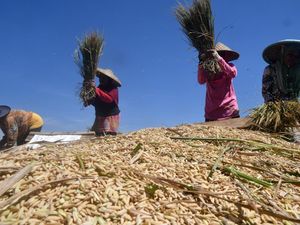 Banyak Negara Terbelit Masalah Pangan, 10 Negara Masuk Jurang Kelaparan Banyak Negara Terbelit Masalah Pangan, 10 Negara Masuk Jurang Kelaparan