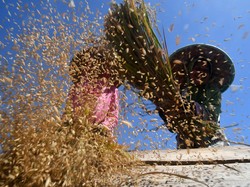 Singgung Ancaman Krisis Pangan, Anggota DPR Beri Masukan Ini