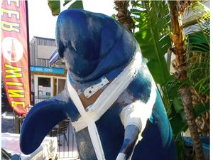 Mabuk Berat, Turis Lakukan Pelecehan Seksual pada... Patung Manatee