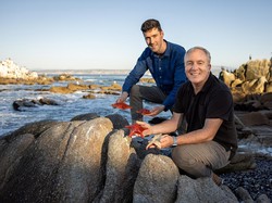 Ahli Biologi Temukan Letak Kepala Bintang Laut, Mau Tahu Posisinya?