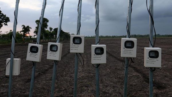 Peningkatan Kebutuhan Listrik Sektor Agrikultur