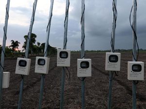 Peningkatan Kebutuhan Listrik Sektor Agrikultur Peningkatan Kebutuhan Listrik Sektor Agrikultur