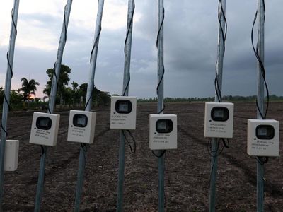 Peningkatan Kebutuhan Listrik Sektor Agrikultur