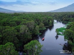 Ini Rawa Bento, yang Tertinggi di Sumatera