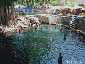 Segarnya Umbul Sigedang-Kapilaler, Kolam Alami di Bawah Beringin Raksasa