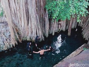 Sejuknya Umbul Kapilaler Klaten di Bawah Naungan Beringin, Segini Tiketnya