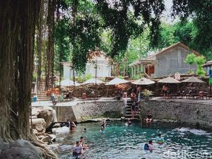 Cuma di Klaten, Ada Kolam Segar Alami di Bawah Pohon Beringin Ratusan Tahun Cuma di Klaten, Ada Kolam Segar Alami di Bawah Pohon Beringin Ratusan Tahun