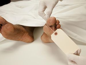 Kata Dokter Anatomi soal Etika Perlakukan Jenazah Cadaver Kata Dokter Anatomi soal Etika Perlakukan Jenazah Cadaver