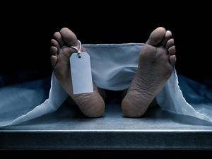 Geger Temuan Mayat di Medan Ternyata Cadaver, Apa Sih Itu? Ini Kata Dokter Anatomi Geger Temuan Mayat di Medan Ternyata Cadaver, Apa Sih Itu? Ini Kata Dokter Anatomi