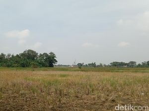 14 Ribu Hektare Lahan Disiapkan untuk Kawasan Industri di Indramayu