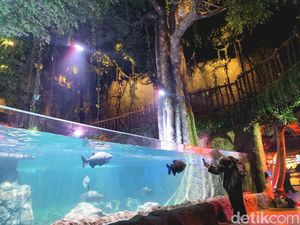 Menjajal Akuarium Indoor Pertama di Tangerang Selatan, Ada Apa Saja? Menjajal Akuarium Indoor Pertama di Tangerang Selatan, Ada Apa Saja?