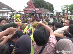 Ratusan Warga Berebut Gunungan Hasil Bumi Peringati HUT Lumajang