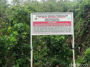250 Hektare Hutan Bali Barat Bakal Disulap Jadi Kawasan Wisata Mewah 250 Hektare Hutan Bali Barat Bakal Disulap Jadi Kawasan Wisata Mewah