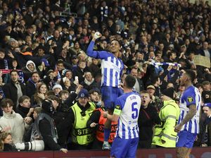 Brighton Si Camar Terbang Mulus di Eropa