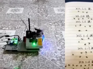 Viral Klaim Nyamuk Ditembak Pakai Laser di China