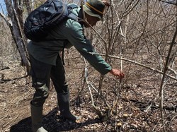 Antisipasi Perburuan Liar, Polhut Pelototi Kawasan Taman Nasional Bali Barat