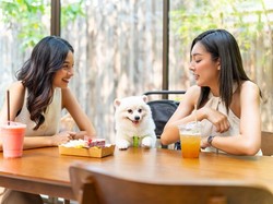 Apakah Muslim Boleh Makan di Restoran Pet Friendly?
