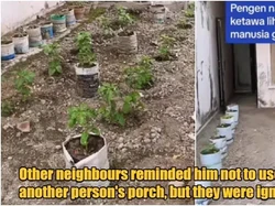 Ditinggal Sebulan, Rumah Ini Disulap Jadi Kebun Cabai oleh Tetangga