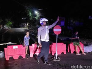 Jalan di Larantuka Ditutup gegara Buah Beringin, Kok Bisa?
