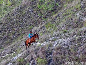 Penemuan Dunia yang Hilang di Indonesia