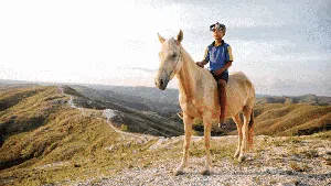 Ladang Cuan Anak Penunggang Kuda di Bukit Warinding Ladang Cuan Anak Penunggang Kuda di Bukit Warinding