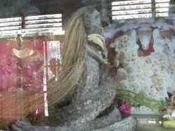 Kisah Zamroji dan Ular Berkepala Wanita Palsu