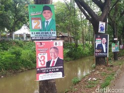 Satpol PP Makassar Kucing-kucingan Tertibkan Baliho Caleg Dipaku di Pohon