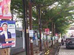 Baliho Caleg Kian Menjadi Dipaku di Pohon-pohon Makassar