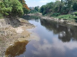 Air Bengawan Solo Hari Ini Menghitam, Diduga Tercemar Limbah Ciu