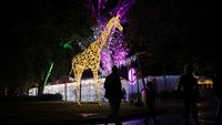 Kebun Binatang Johannerburg Bersolek Jelang Natal