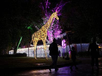 Kebun Binatang Johannerburg Bersolek Jelang Natal