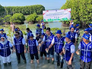 Dukung Net Zero Emission, PT TransJ Tanam 23 Ribu Manggrove di Pulau Harapan