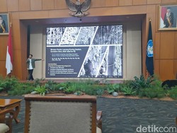 Begini Kerja Ahli Kayu RI di Pemulihan Koleksi Museum Nasional yang Terbakar