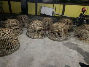 Judi Sabung Ayam di Sarirejo Lamongan Digerebek, 4 Penjudi Diringkus Judi Sabung Ayam di Sarirejo Lamongan Digerebek, 4 Penjudi Diringkus