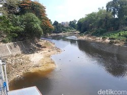 Air Bengawan Solo Masih Hitam, PDAM Solo Minta Warga Jangan Buang Limbah