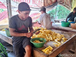 Manisnya Bisnis Tapai Bondowoso yang Produksi Hariannya Capai 1,2 Ton
