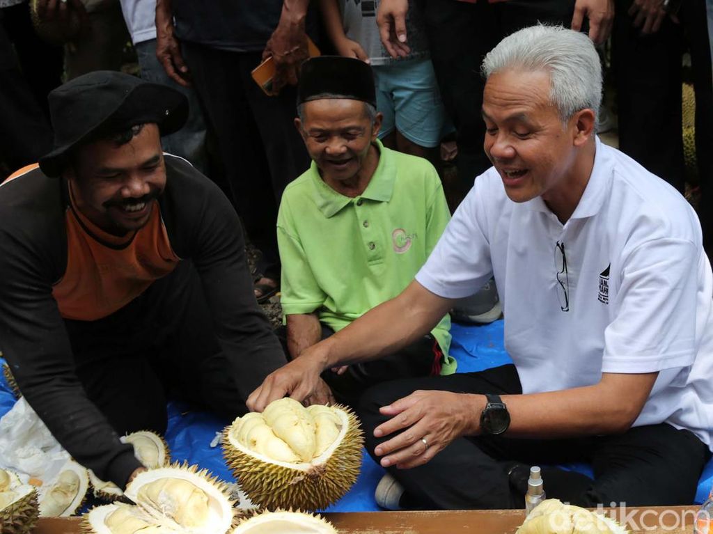Foto-foto Ganjar Lesehan Makan Durian Bersama Warga Foto-foto Ganjar Lesehan Makan Durian Bersama Warga