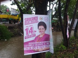 Pengamat Minta KPU-Bawaslu Makassar Tegas Atasi Baliho Dipaku di Pohon