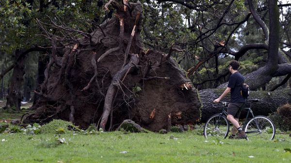 Potret Kerusakan Akibat Terjangan Badai di Argentina