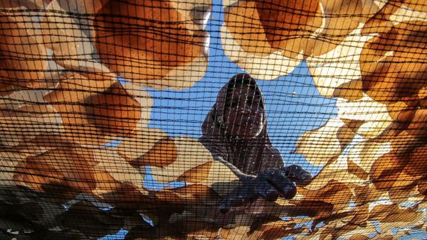 Produksi Kamplang Khas Bajo Sangkuang Mengalami Penurunan