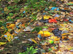 Duh! Bungkus Obat Saset Berserakan di Jalan Setapak Bukit Senyum