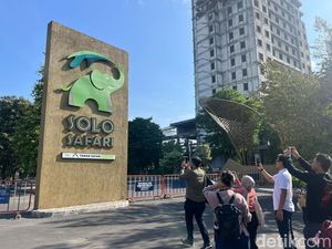 Ini Dia Waktu Berkunjung Terbaik ke Solo Safari Ini Dia Waktu Berkunjung Terbaik ke Solo Safari