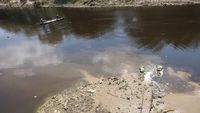 Sungai Bengawan Solo Kian Tercemar