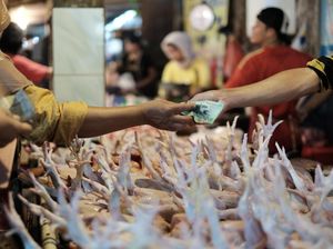 Kinerja Positif APBN Dukung Pemulihan Ekonomi Indonesia