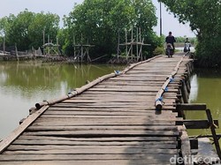 Hiii! Begini Mitos Menyeramkan tentang Jembatan Gendruwo Demak