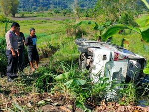 Mobil Bawa 11 Pelajar di Taput Terjun ke Sawah, 7 Luka-luka Mobil Bawa 11 Pelajar di Taput Terjun ke Sawah, 7 Luka-luka