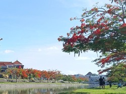 Serasa di Negeri Sakura, Padahal Ini di Pulau Dewata