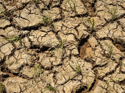 BMKG Prediksi Awal Musim Kemarau Dimulai April 2024